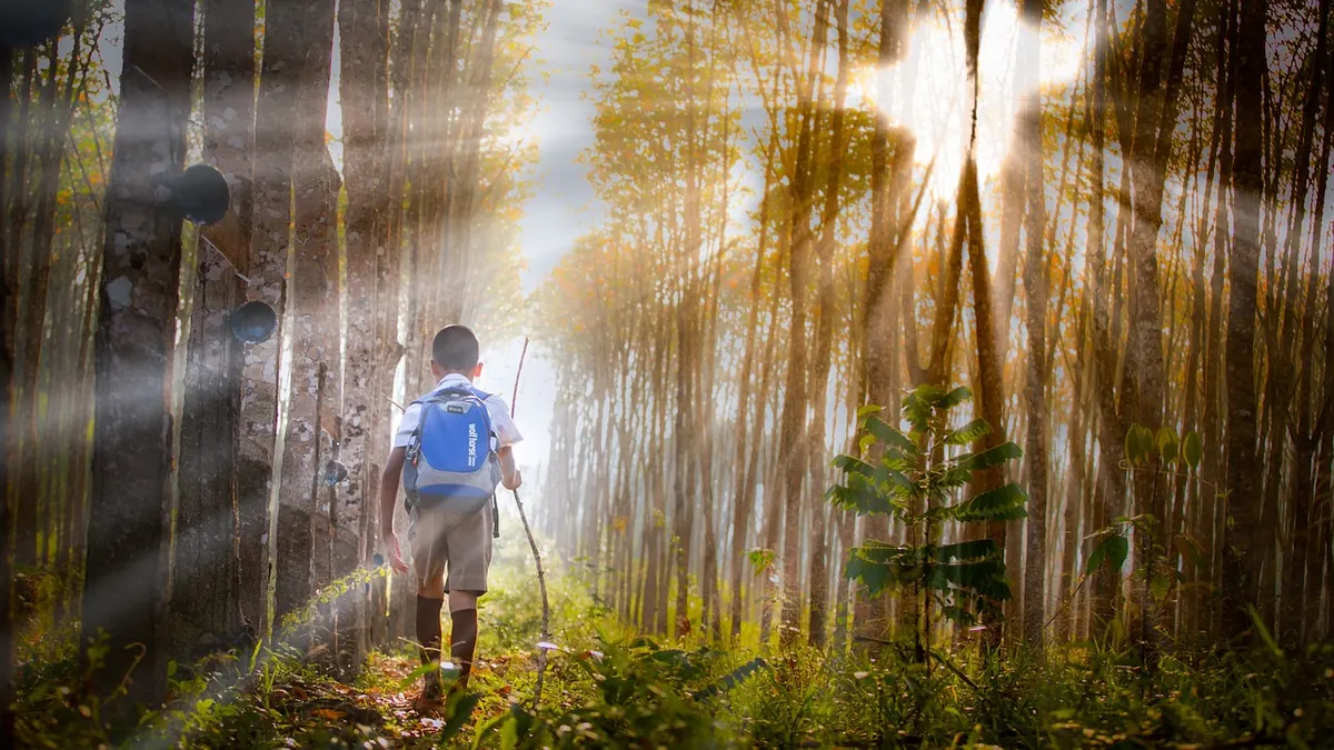A Beginner's Guide to Mindful Walking in Nature