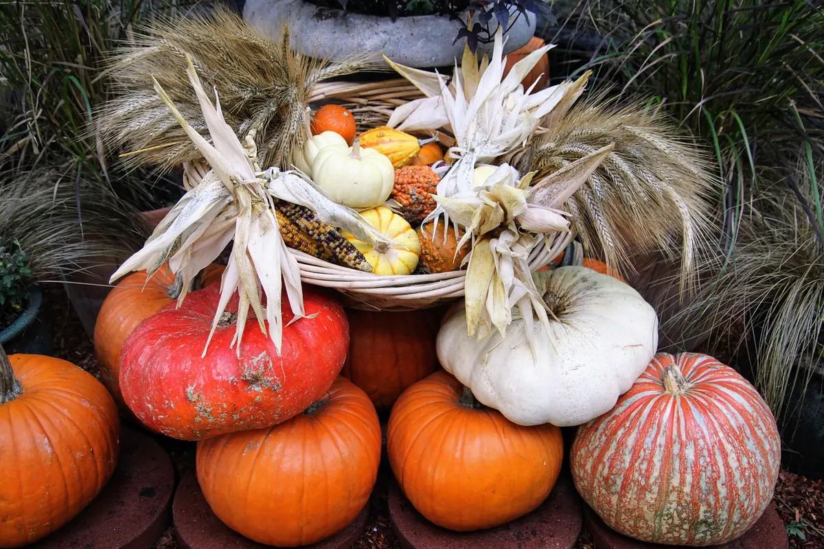 Seasonal UK Fruit and Veg: What to Cook in October